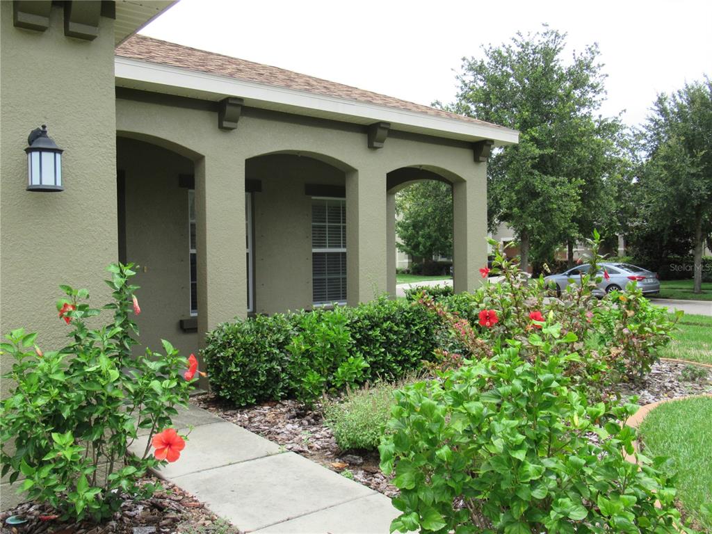 A view of a house exterior featuring a covered porch, landscaping, and a concrete walkway — 2822 MAPLE BROOK LOOP, LUTZ, FL