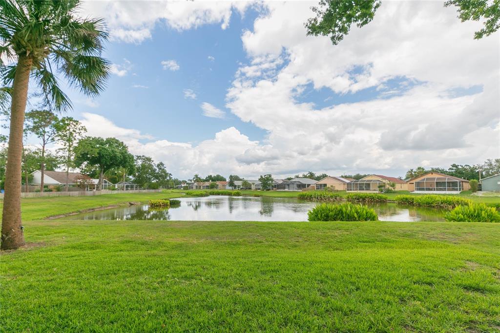 A grassy lawn leads to a small pond surrounded by suburban houses under a cloudy sky — 11520 WELLMAN DRIVE, RIVERVIEW, FL