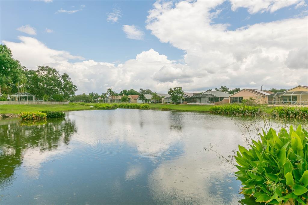 A pond sits in front of a row of suburban houses under a cloudy sky — 11520 WELLMAN DRIVE, RIVERVIEW, FL