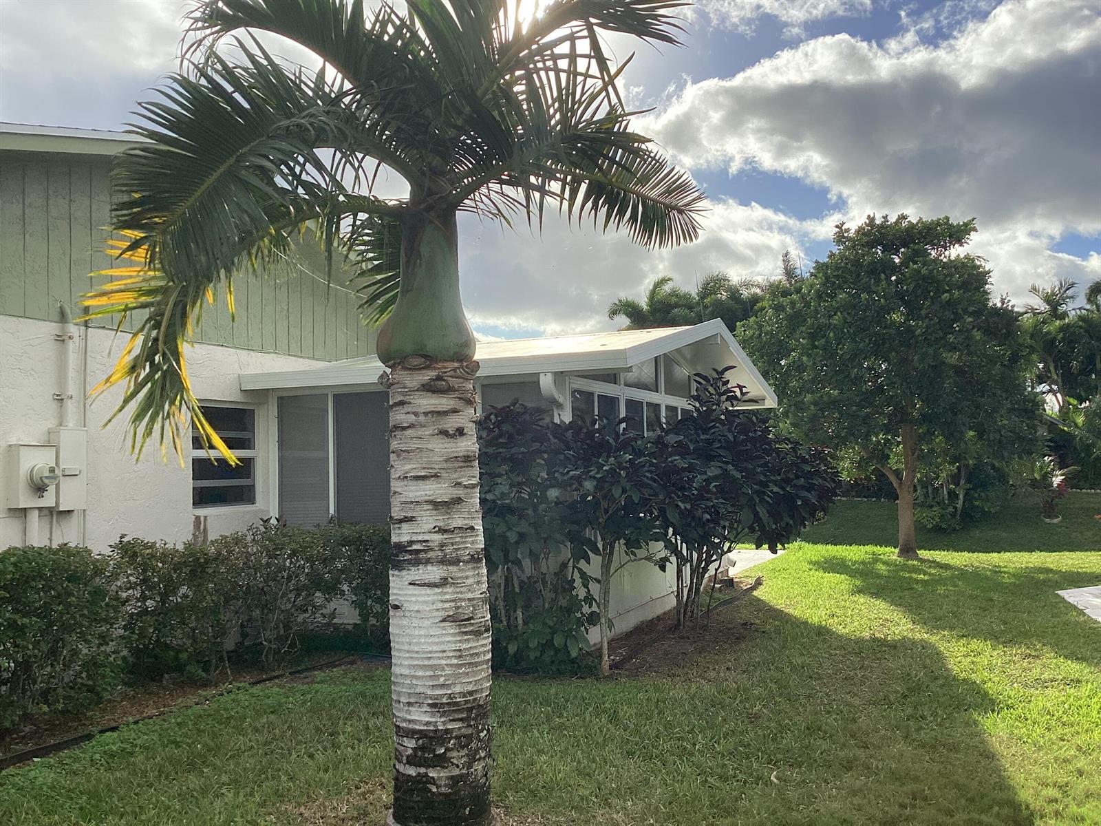 A palm tree stands in the yard in front of a house with a screened porch — 13861 Packard Terrace, Delray Beach FL 33484, DELRAY BEACH, FL