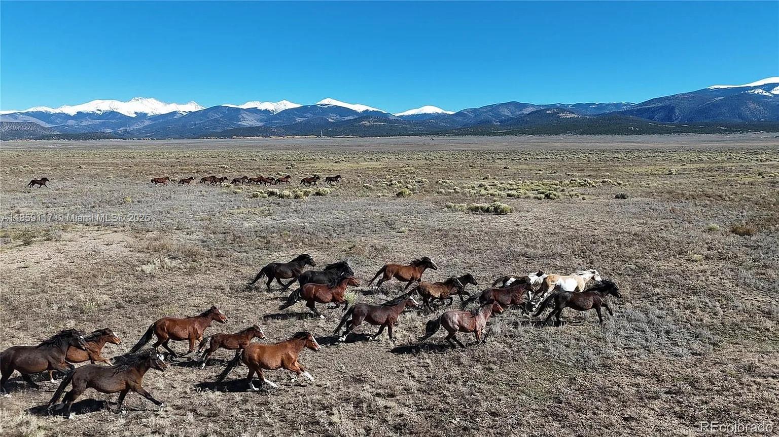 A herd of horses runs across a vast, open field with snow-capped mountains in the distance — 333 W Valley Drive, CO 81152, CO