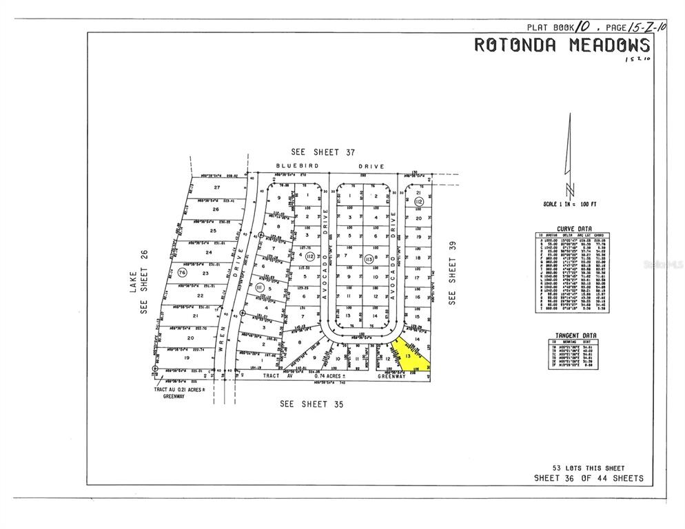 This is a plat map showing a residential subdivision layout with numbered lots and streets — 25 AVOCADO DRIVE, PLACIDA, FL