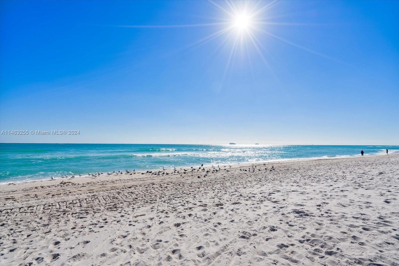 A sunny, sandy beach stretches toward the ocean under a clear blue sky — 5601 Collins Ave # 1514, Miami Beach FL 33140, MIAMI BEACH, FL