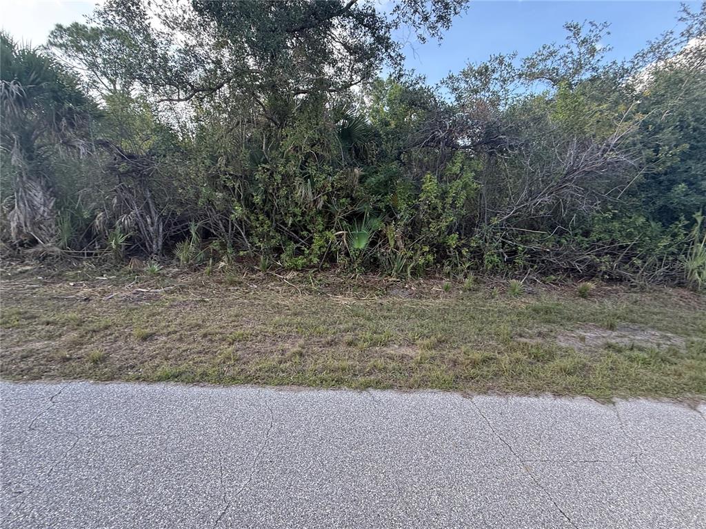 A paved road runs alongside a grassy verge fronting a dense, wooded lot — 11996 GLADIOLA AVENUE, PORT CHARLOTTE, FL