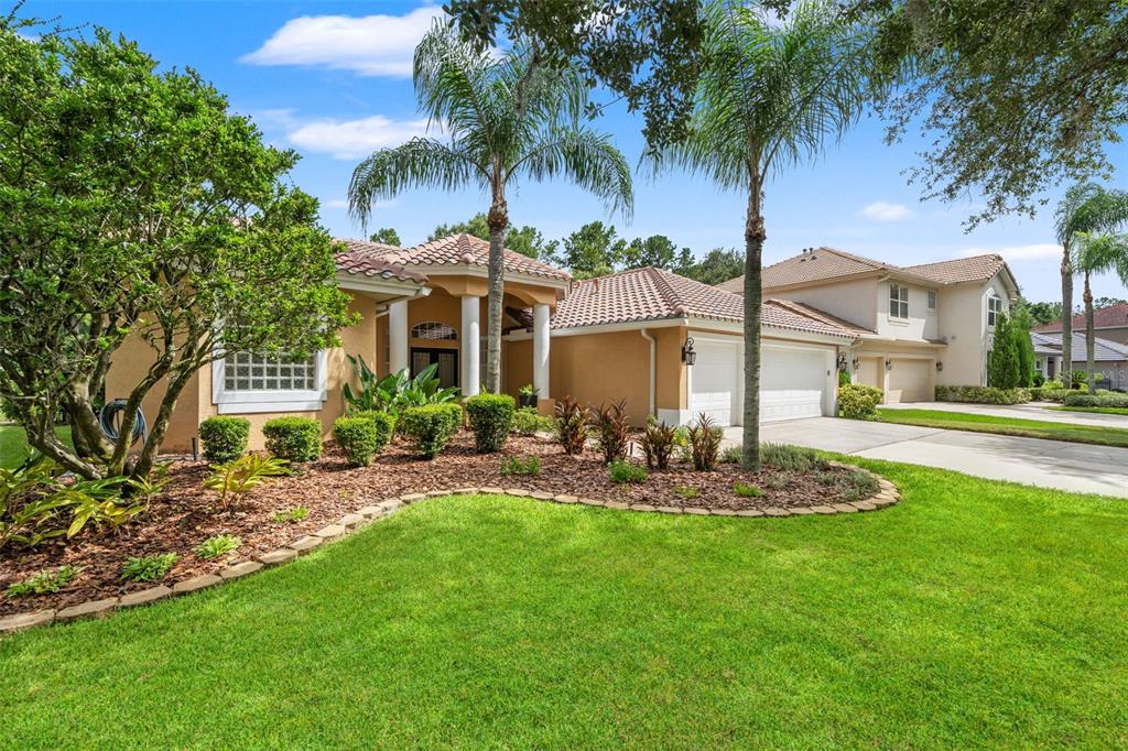 A tan single-story house with a tile roof, palm trees, and a landscaped front yard — 18115 REGENTS SQUARE DRIVE, TAMPA, FL