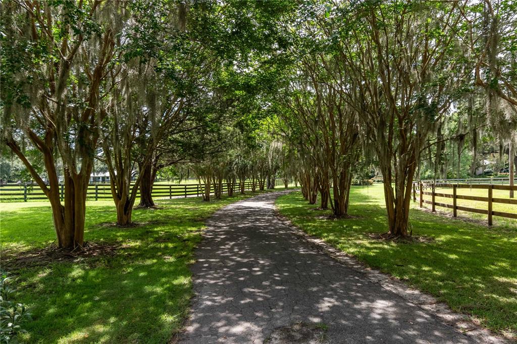 12500 NW 100TH STREET, OCALA, FL — photo 5 of 30