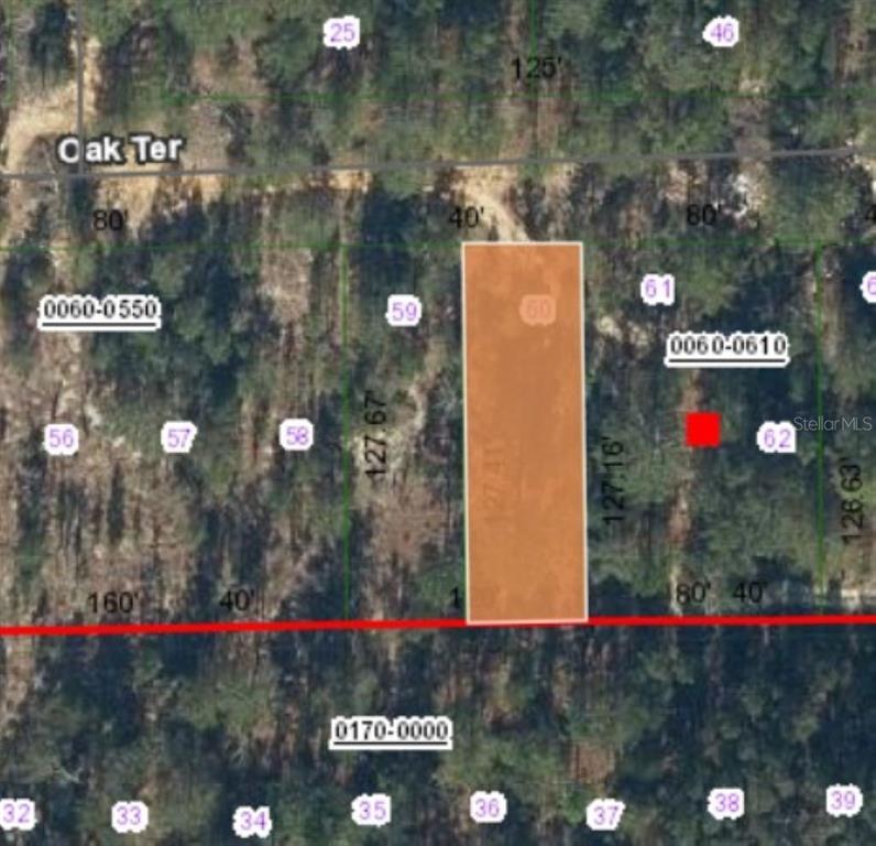 0 UNASSIGNED ROAD, INTERLACHEN, FL — photo 4 of 10