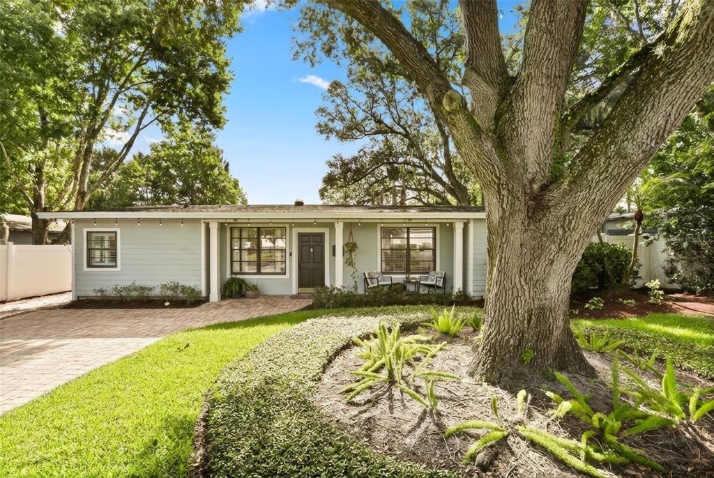 A single-story house with light siding, a brick driveway, and a large tree in front — 1562 ARBOR PARK DRIVE, WINTER PARK, FL