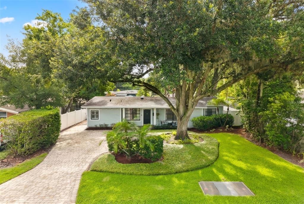 A single-story house with a light blue exterior, a paved driveway, and a large oak tree — 1562 ARBOR PARK DRIVE, WINTER PARK, FL