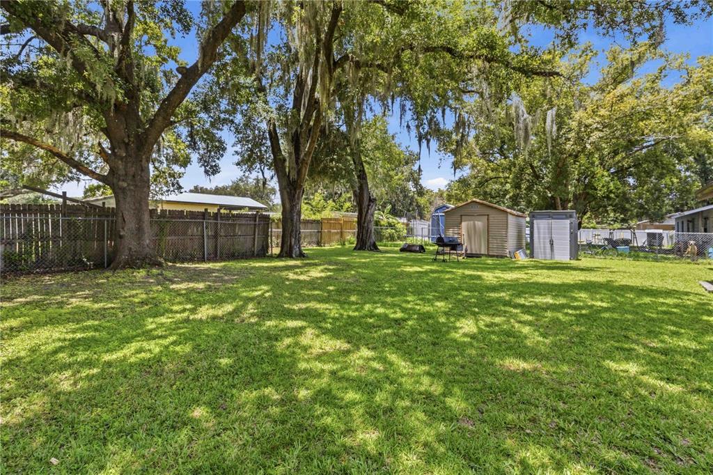 A grassy backyard features large oak trees, a wooden fence, and two storage sheds — 2113 OAKVIEW LANE, PLANT CITY, FL