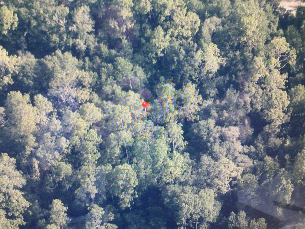 An aerial view shows a dense, wooded forest area marked with a red pin — 0 SW 153 LANE, DUNNELLON, FL