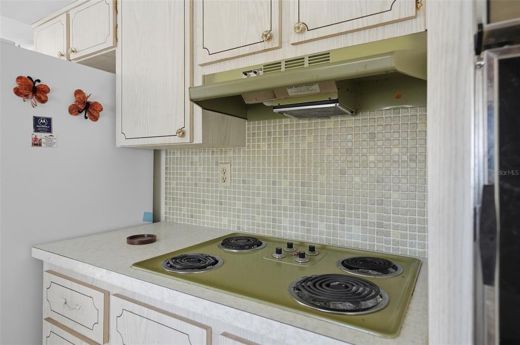 A kitchen features a green double-basin sink, light wood cabinets, and a tiled backsplash — 1207 LODESTAR DRIVE, HOLIDAY, FL