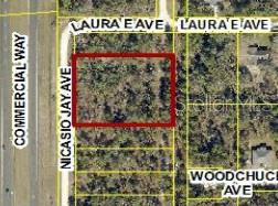 An aerial map view shows a rectangular vacant lot outlined in red near road intersections — 17496 NICASIO JAY AVENUE, WEEKI WACHEE, FL