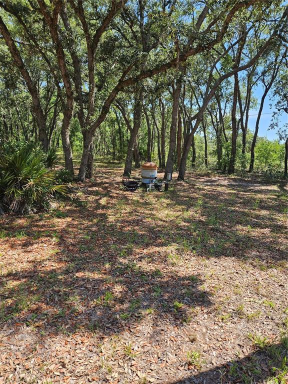 4300 W ROADRUNNER COURT