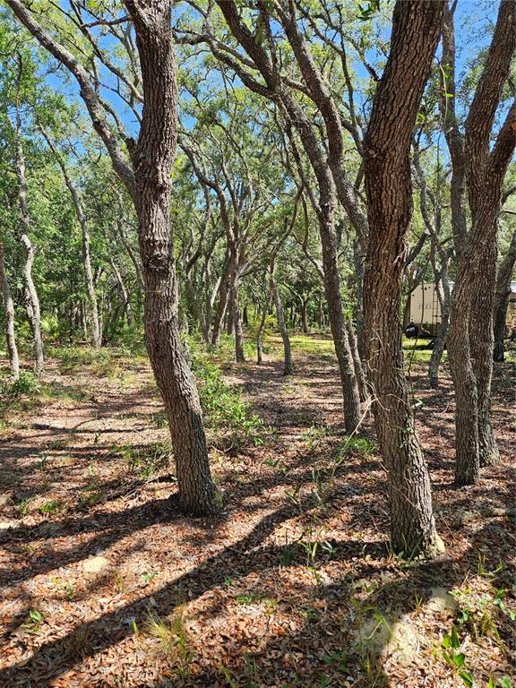 A wooded lot with many tall trees and a camper parked in the distance — 4300 W ROADRUNNER COURT, HOMOSASSA, FL