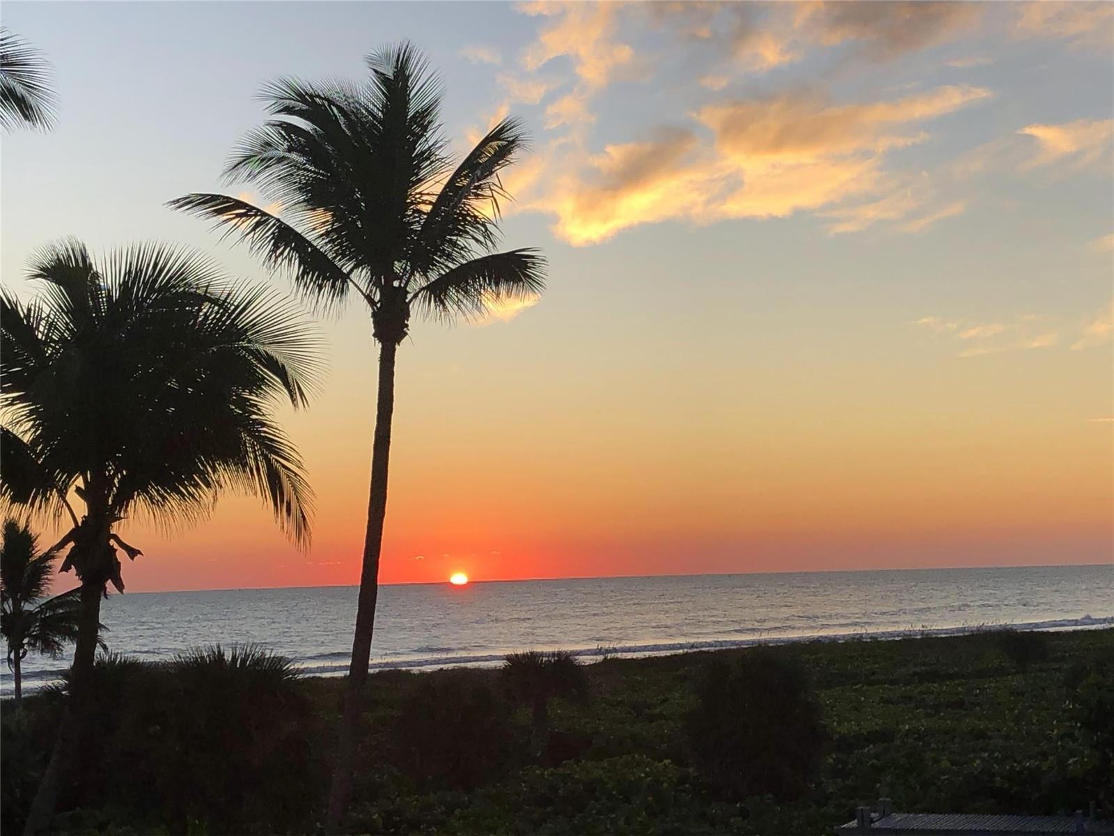 A sunset view over the ocean with palm trees in the foreground — 2800 N Highway A1a # 307, Fort Pierce FL 34949, FORT PIERCE, FL