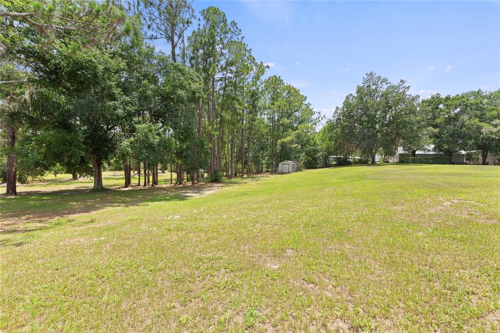 A large, grassy yard features a line of tall pine trees and a small shed — 5360 DILLMAN LANE, POLK CITY, FL