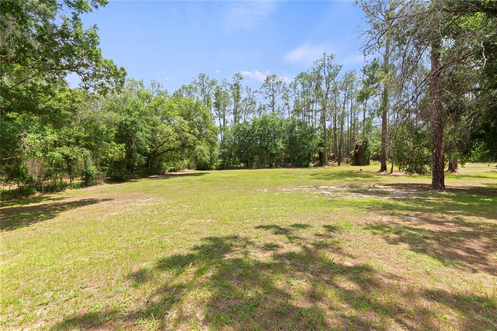 A grassy, open lot is surrounded by mature trees under a clear blue sky — 5360 DILLMAN LANE, POLK CITY, FL