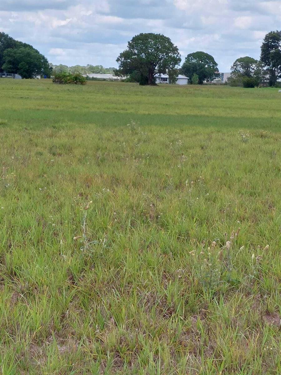 A large, grassy, open field with scattered trees under a cloudy sky — 316 Costa Del Sol Drive, Sebring FL 33876, SEBRING, FL