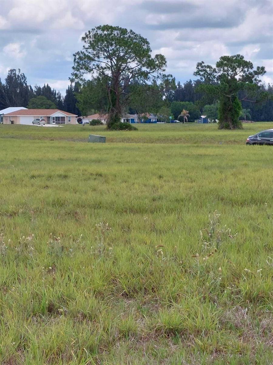 A grassy field sits in front of several suburban houses and two large pine trees — 316 Costa Del Sol Drive, Sebring FL 33876, SEBRING, FL