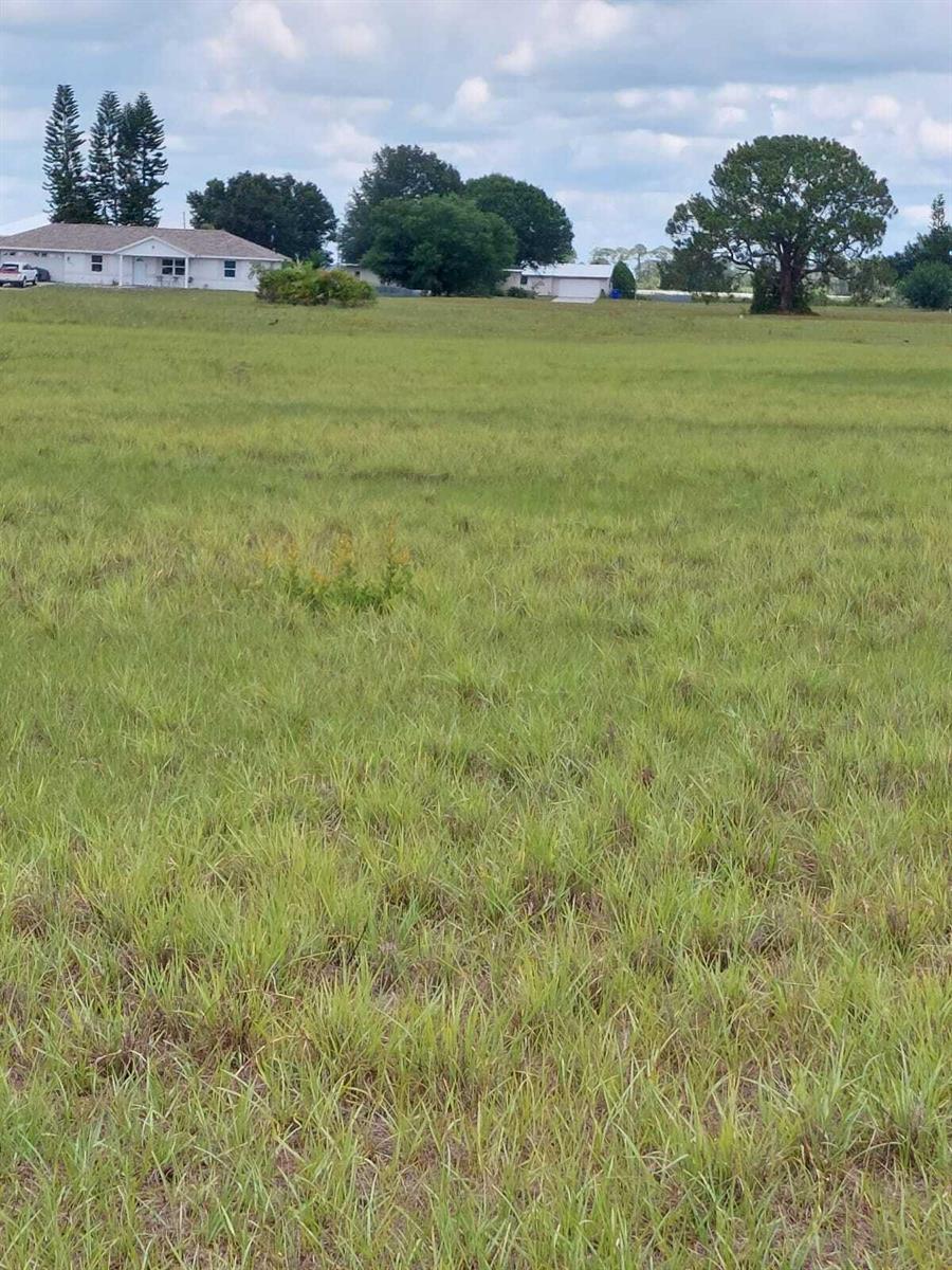 A wide, grassy field stretches toward several residential houses and trees under a cloudy sky — 316 Costa Del Sol Drive, Sebring FL 33876, SEBRING, FL