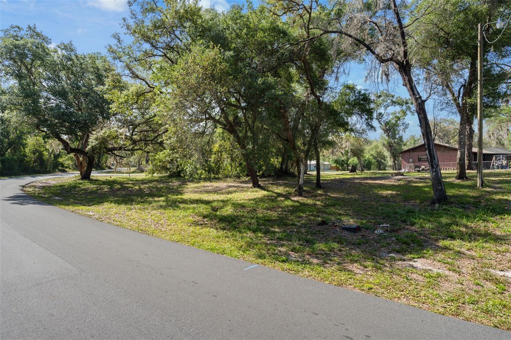 A paved road curves past a grassy lot with mature trees and a nearby house — 5043 CARDINAL DRIVE, DADE CITY, FL