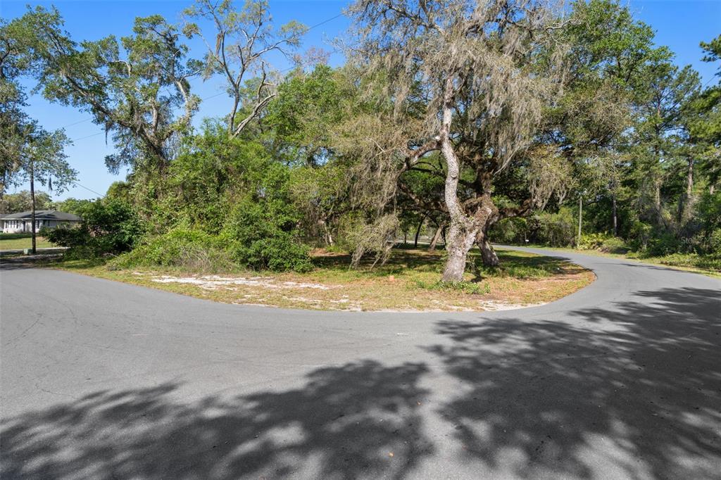A paved cul-de-sac curves around a wooded, undeveloped lot with mature trees — 5043 CARDINAL DRIVE, DADE CITY, FL