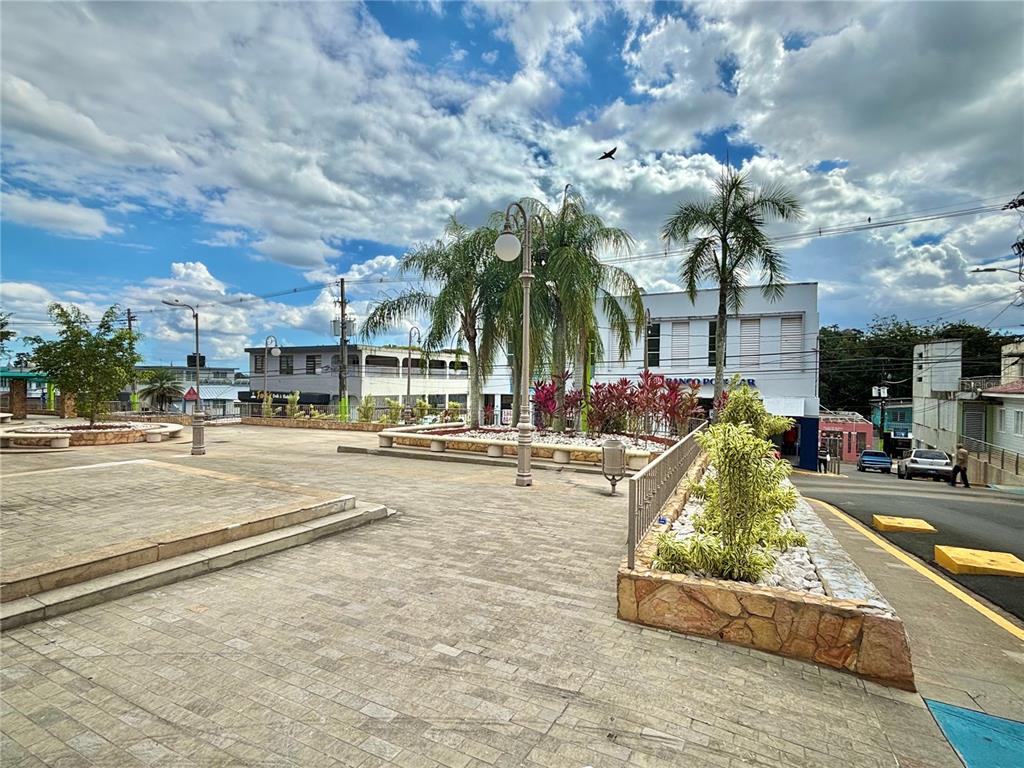 An outdoor town square features paved walkways, palm trees, landscaping, and nearby commercial buildings — 20 LUIS MUNOZ RIVERA, AGUAS BUENAS, PR