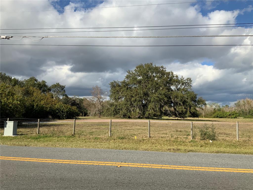 A grassy, fenced-in vacant lot features a large oak tree under a cloudy sky — 12301 WOODLEA ROAD, TAVARES, FL