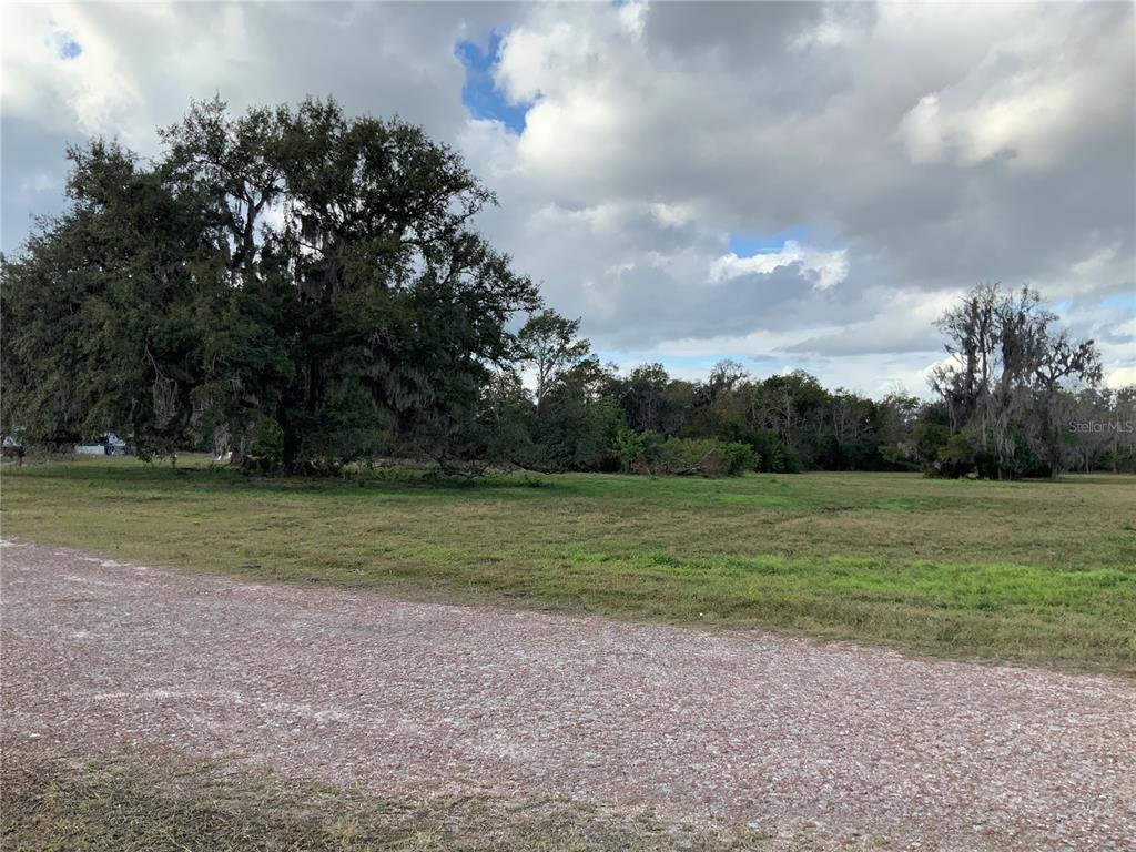 A gravel road borders a grassy field with large trees under a cloudy sky — 12301 WOODLEA ROAD, TAVARES, FL