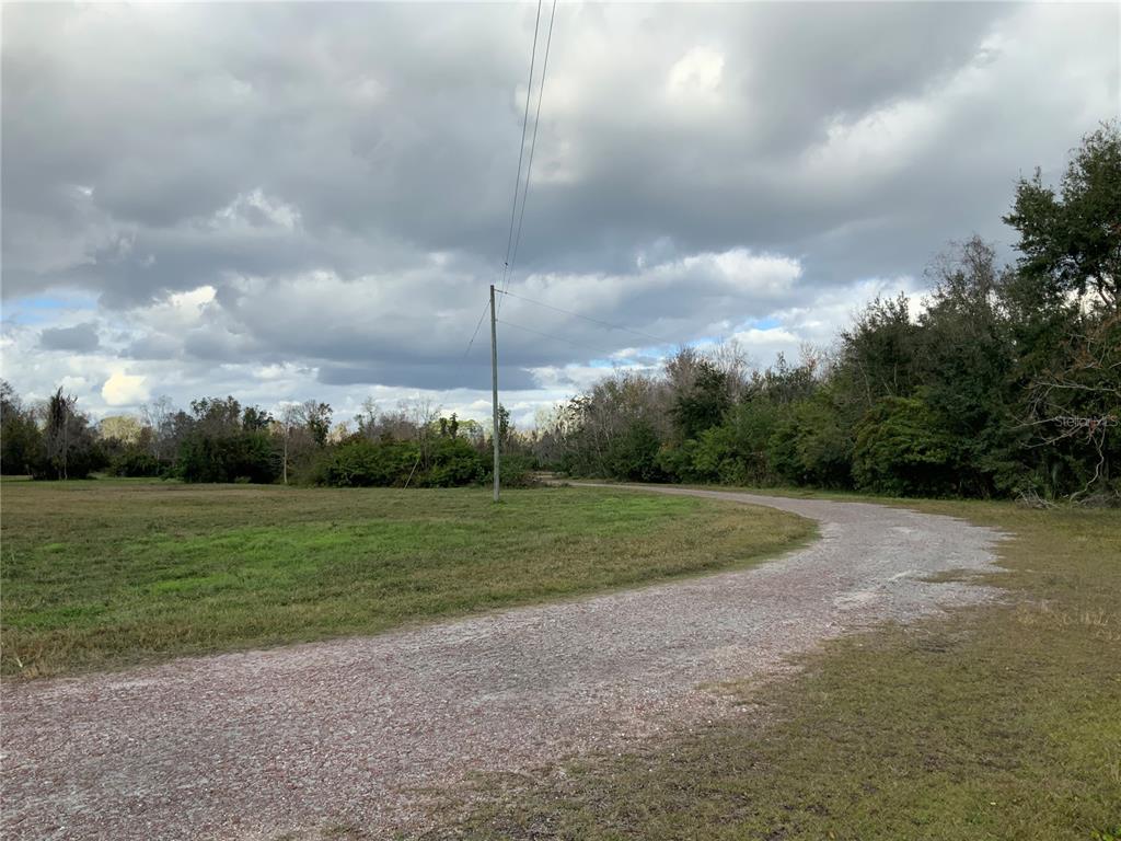 A gravel driveway curves through a grassy field toward a line of trees under cloudy skies — 12301 WOODLEA ROAD, TAVARES, FL