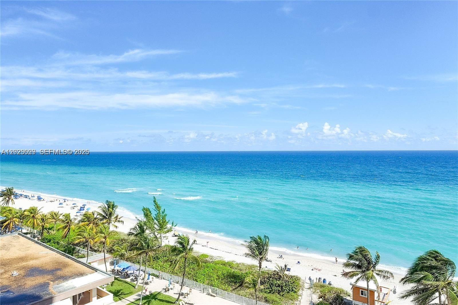 An elevated view shows a sandy beach with palm trees along the oceanfront — 1950 S Ocean Dr # 8K, Hallandale Beach FL 33009, HALLANDALE BEACH, FL