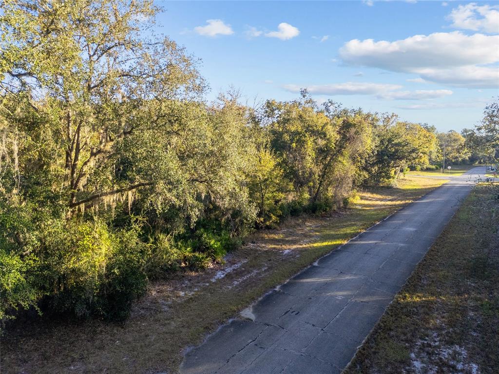 An aerial view shows a paved road running alongside a wooded lot with dense trees — TBD SW 174 PLACE, OCALA, FL