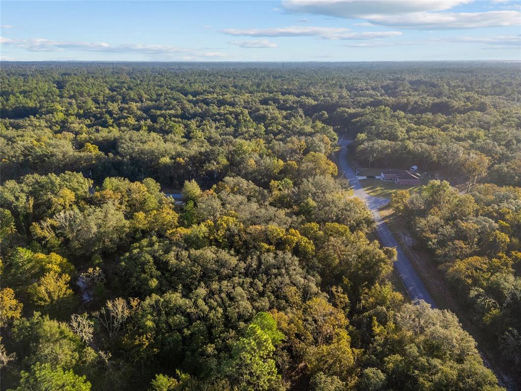 An aerial view shows a house surrounded by dense forest and a paved road — TBD SW 174 PLACE, OCALA, FL