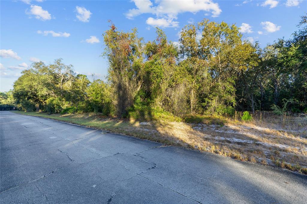 A paved road runs alongside a wooded, undeveloped lot under a blue sky — TBD SW 174 PLACE, OCALA, FL