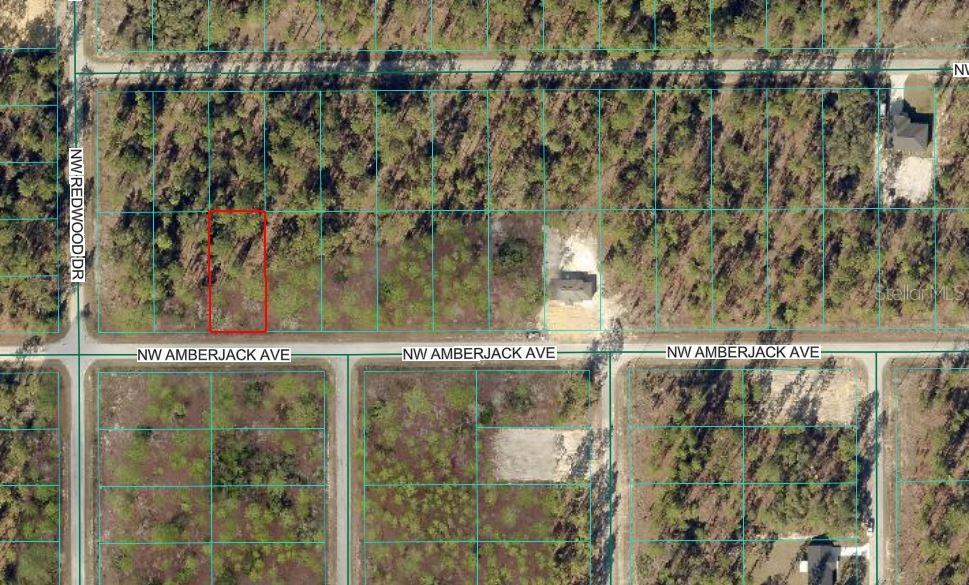 This is an aerial map showing a vacant, wooded residential lot outlined in red — NW AMBERJACK AVENUE, DUNNELLON, FL