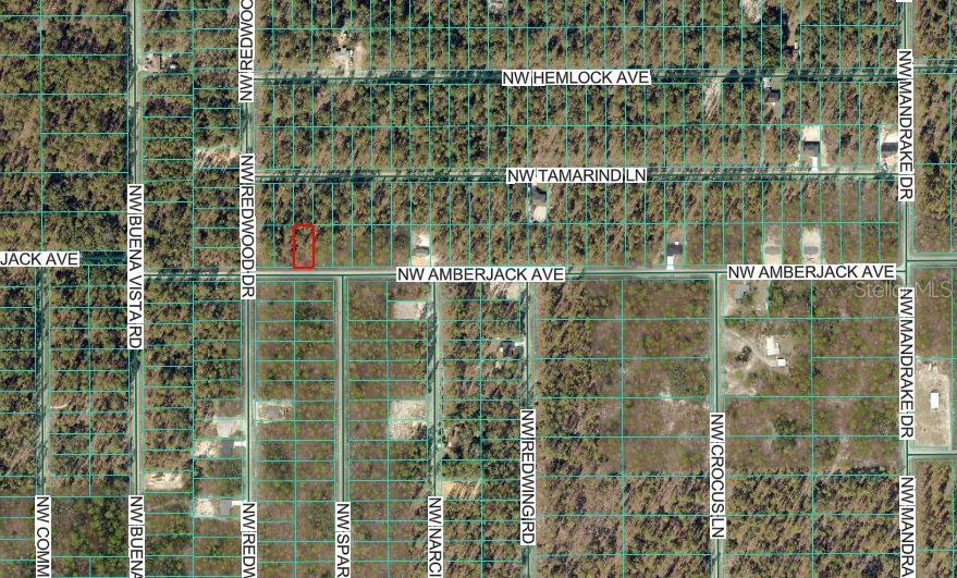 This is an aerial map showing a rectangular plot of land outlined in red — NW AMBERJACK AVENUE, DUNNELLON, FL