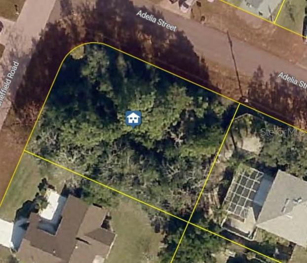 This is an aerial map view of a vacant, tree-covered residential lot — 11416 ADELIA STREET, SPRING HILL, FL