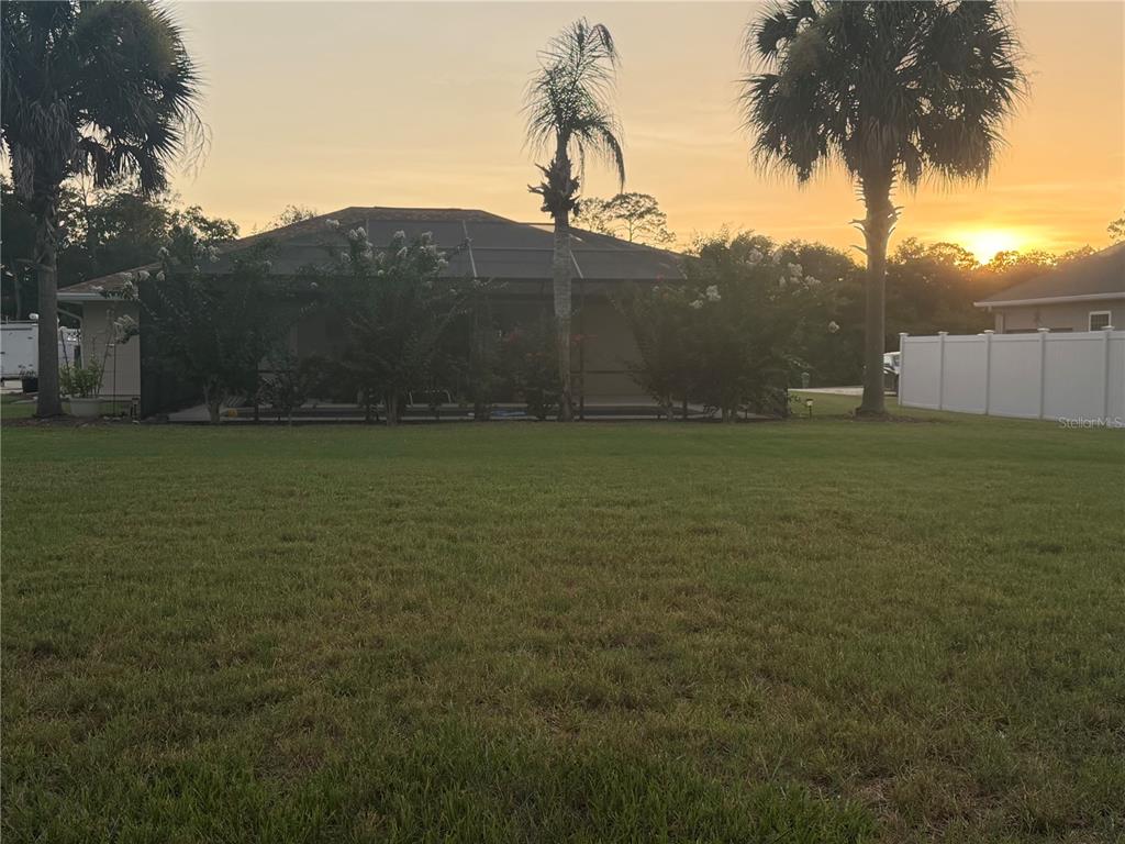 A backyard view of a house with a screened-in pool enclosure and three palm trees — 4025 NE 14TH COURT, OCALA, FL