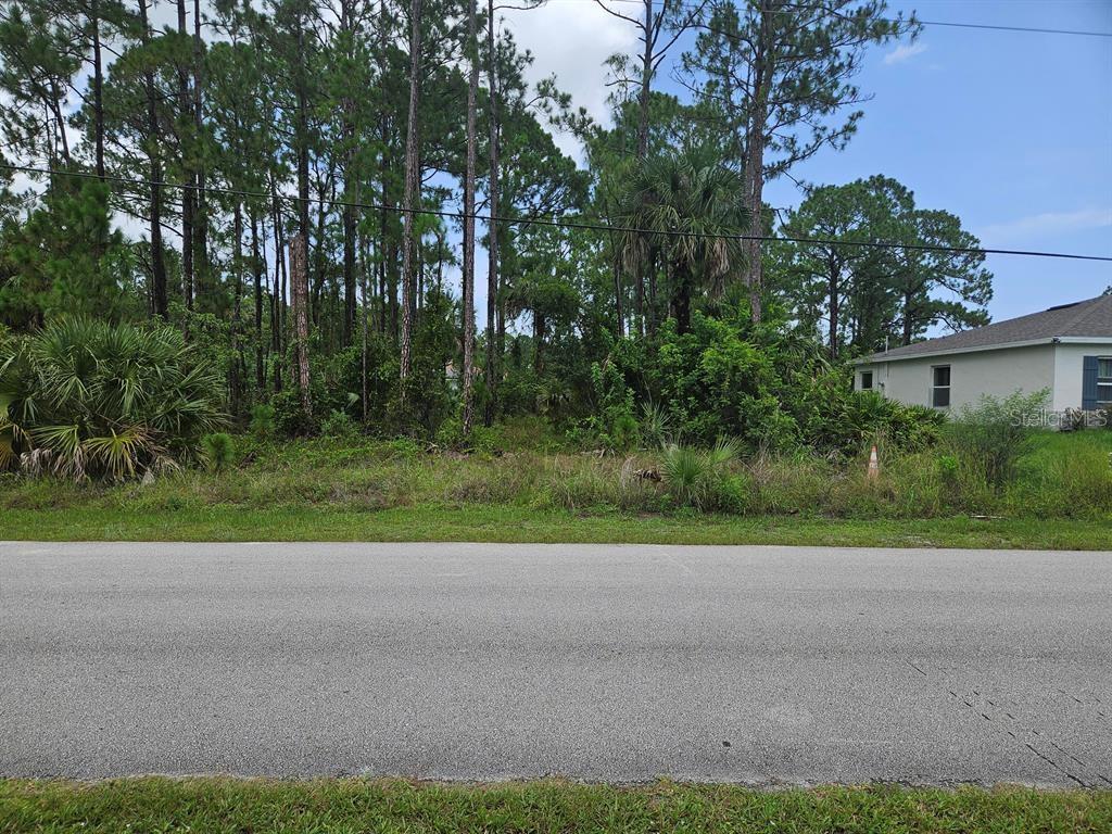 A vacant, wooded residential lot sits next to a house along a paved road — 1295 SEABOLD ROAD SW, PALM BAY, FL