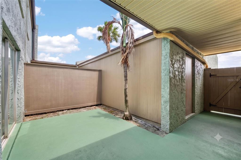 A fenced-in patio area with a green concrete floor, a palm tree, and a carport — 2500 21ST STREET NW UNIT 50, WINTER HAVEN, FL