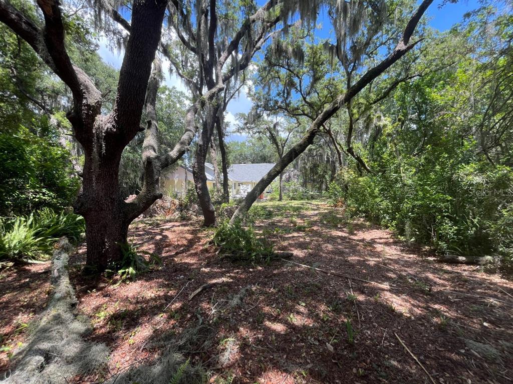 A yellow house with a gray roof sits in a large, tree-filled backyard — 310 CLAYTON ROAD, AUBURNDALE, FL