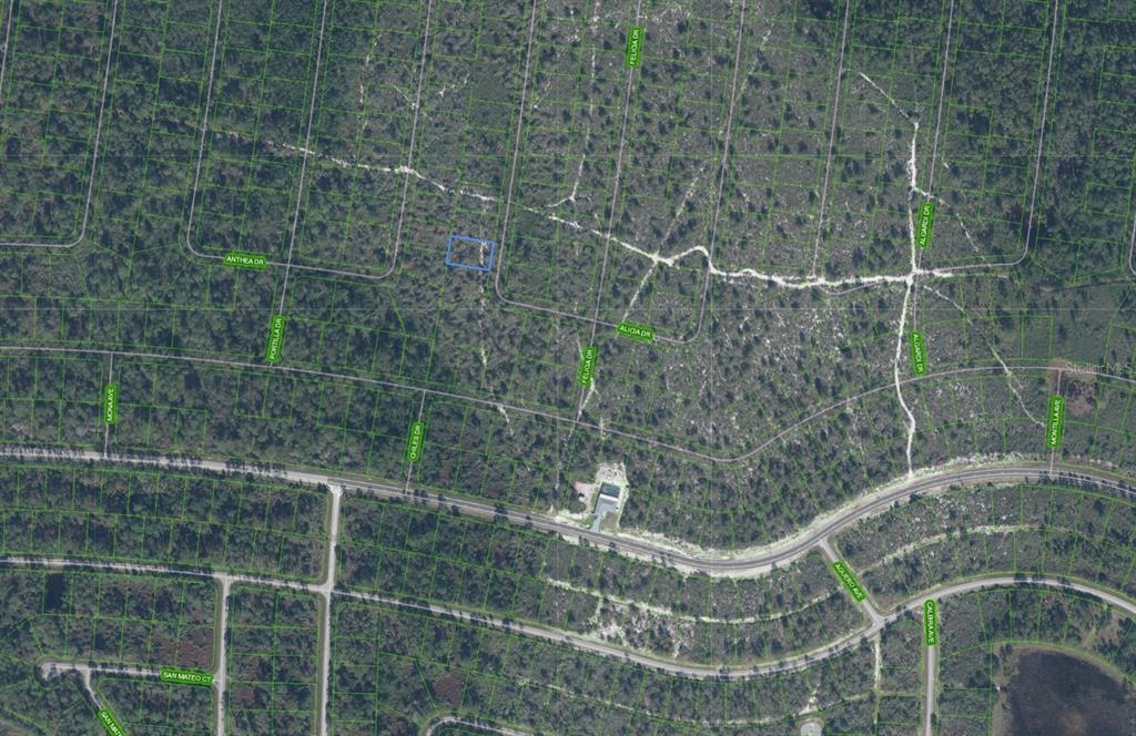 This is an aerial map showing a highlighted vacant lot surrounded by undeveloped wooded land — 6464 ALICIA DRIVE, SEBRING, FL