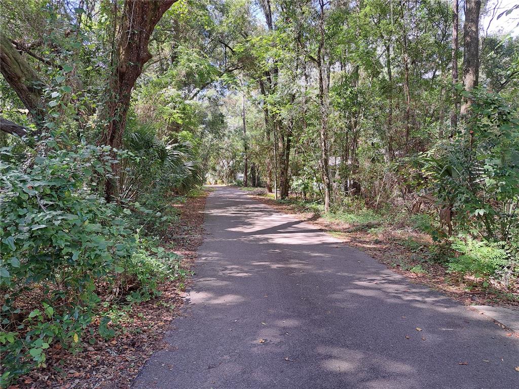 A narrow paved road winds through a dense, wooded area with lush green trees — 2164 SW 37TH COURT, GAINESVILLE, FL