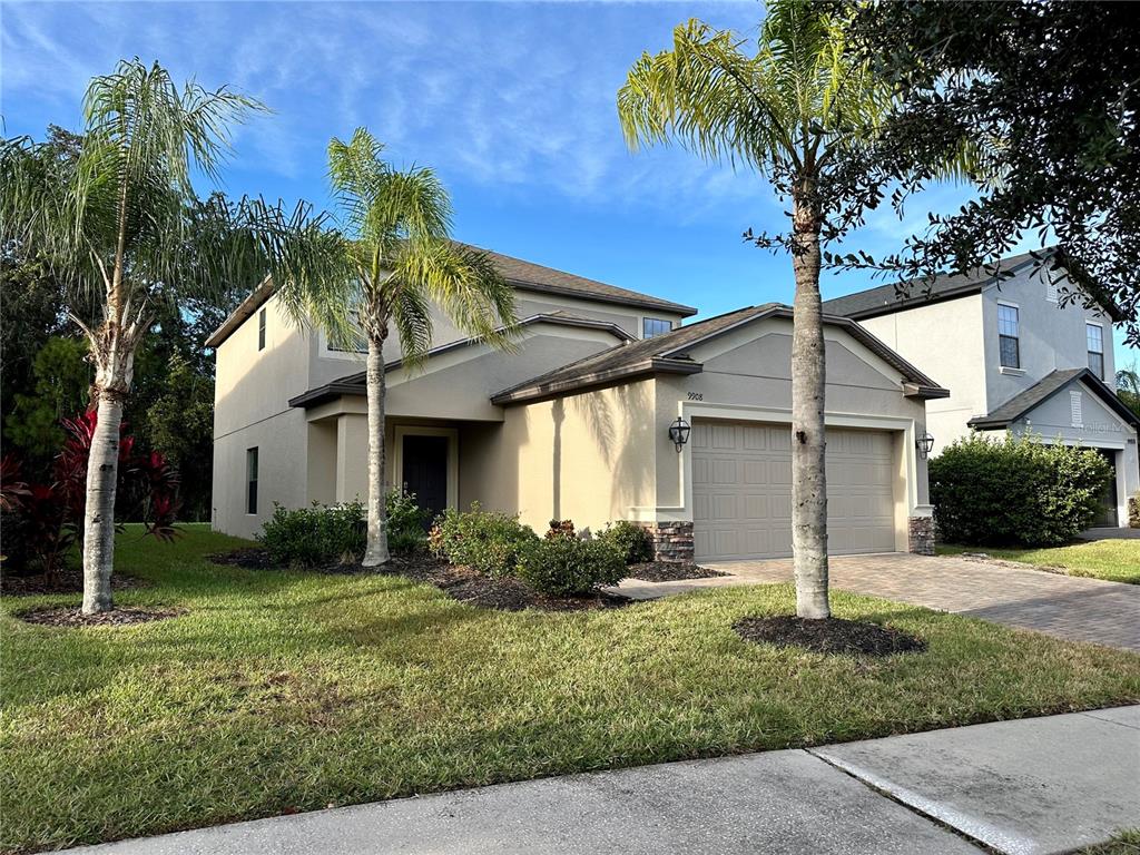 A two-story suburban house with a two-car garage, palm trees, and a paved driveway — 9908 SPICE BUSH COURT, TAMPA, FL