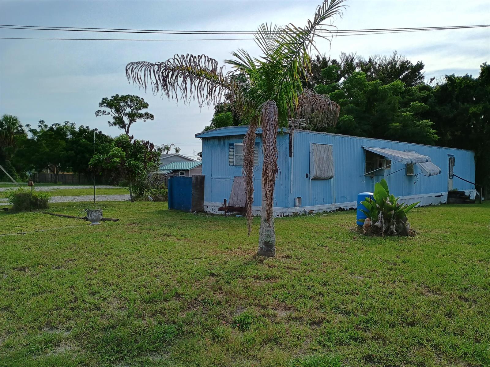 A blue mobile home sits on a grassy lot with a palm tree in the foreground — 1512 NE Dove Avenue, Stuart FL 34994, STUART, FL