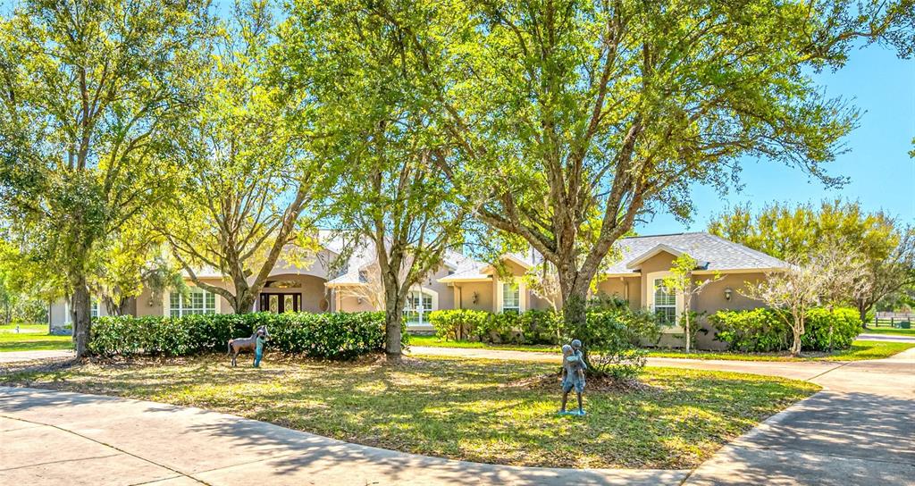 A single-story house with a light-colored exterior sits behind a large lawn and mature trees — 11939 PASCO TRAILS BOULEVARD, SPRING HILL, FL