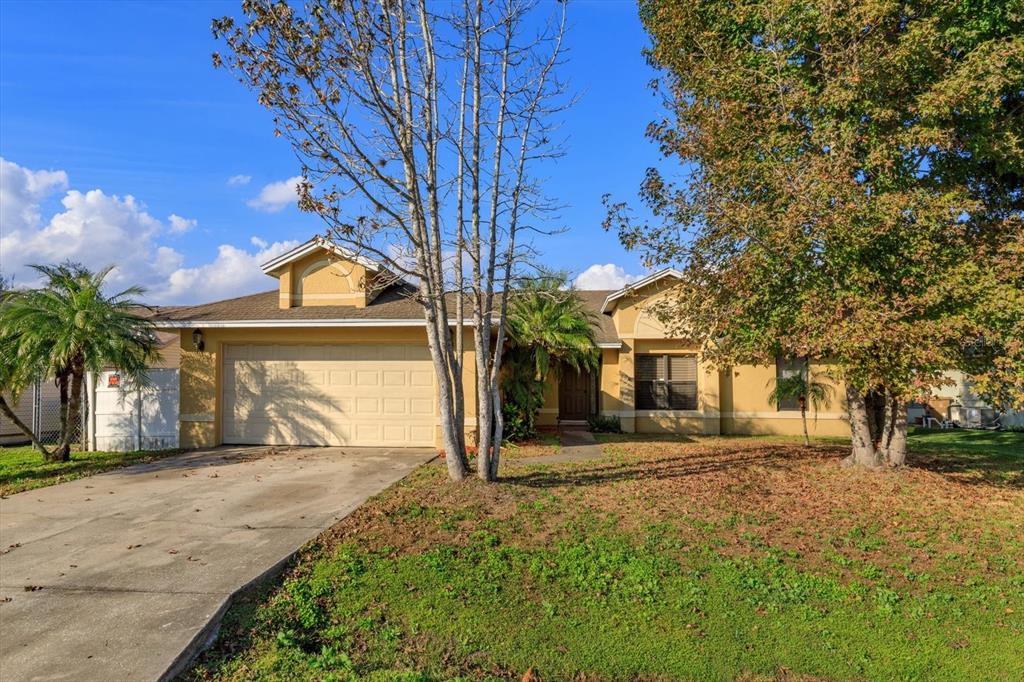 54 DORSET DRIVE