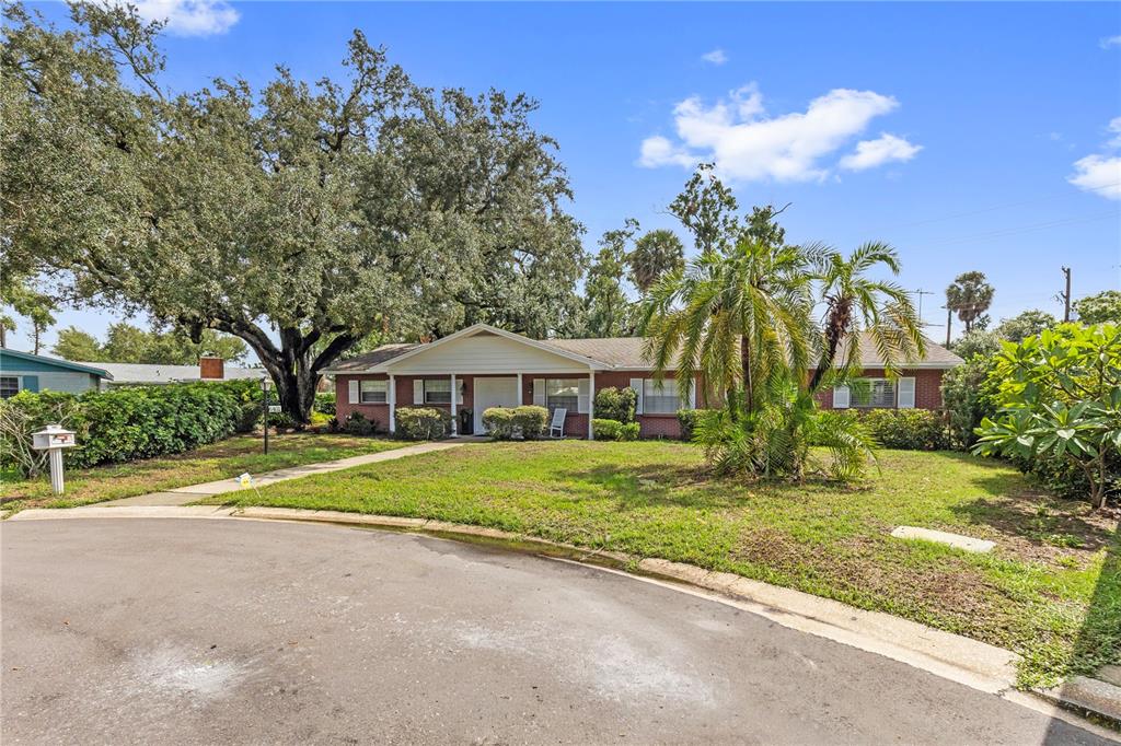 A single-story brick house with a palm tree and large oak tree in the front yard — 6401 WINGFOOT CIRCLE, TAMPA, FL