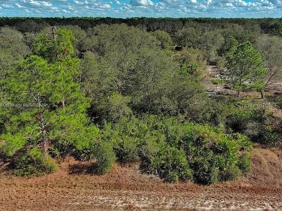 An aerial view shows a wooded lot with pine trees and dense underbrush — 4701 KAREN AVENUE S, LEHIGH ACRES, FL